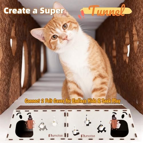 Cat Tunnel House for Indoor Cats, 3-in-1 Felt Cave and Scratcher