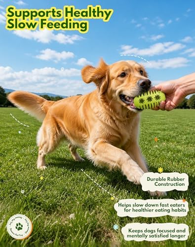 Natural Rubber Rugby Dog Chew Toy Ball, Treat Dispensing Enrichment Toy