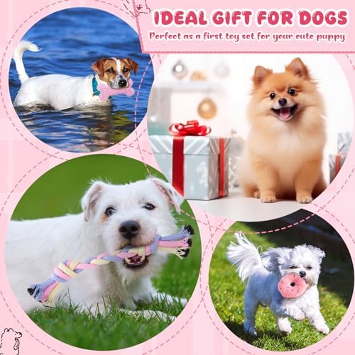 9pcs Pink Puppy Toys for Teething Treat Interactive to Keep Them Busy