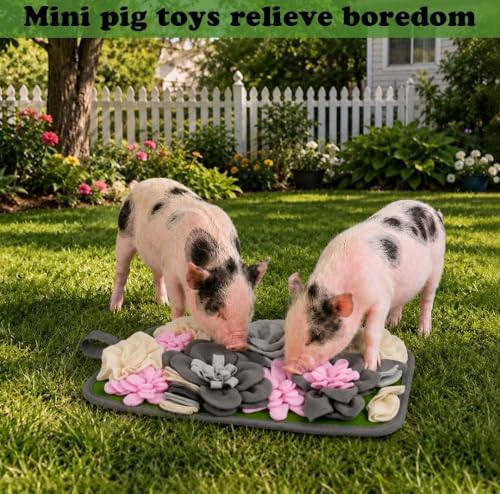 Pig Foraging Mat for Mini Pigs, Pig Toys for Mini Pigs with Snuffle Feeding Pad and Chewable Enrichment Features, Interactive Treat Seeking Activity Toy for Pet Pigs, Farm Pigs and Small Animals