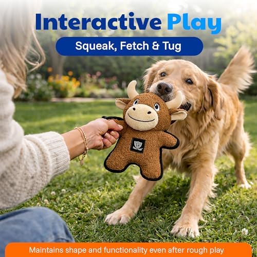 American Kennel Club Plush Dog Toy with Squeaker for Moderate Chewers, Soft Stuffed Dog Toy for Tugging, Fetch & Interactive Play, Gentle on Teeth