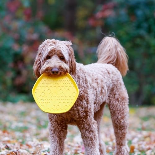 PROJECT HIVE ·PET COMPANY· Dog disc - Great for Fetch - Includes a Lick mat on Back - Floats in Water, Smooth Glide - Made in The USA (Unscented Yellow)