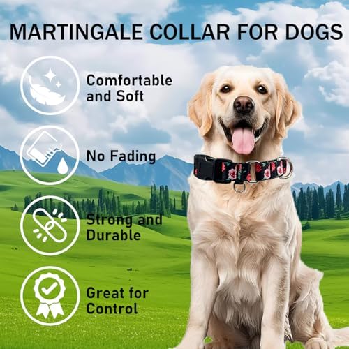 Martingale Collar for Dogs with Buckle No Pull, Black Floral, S