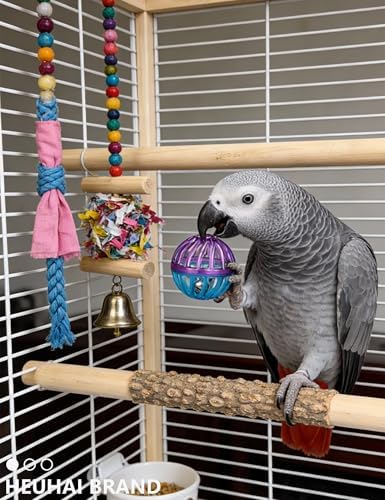 10-Pack Bird Toys – Colorful Fun