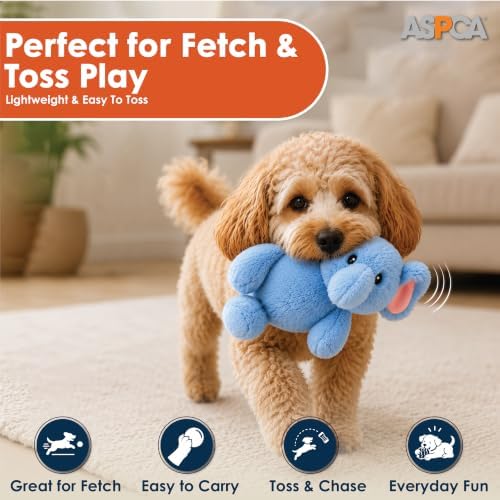 ASPCA Plush Squeaky Dog Toy for Small, Medium & Large Dogs – Soft Round Plush Pet Toy with Full Body Squeaker, Lightweight Fetch Toy for Indoor Play, Cuddling & Enrichment, Elephant