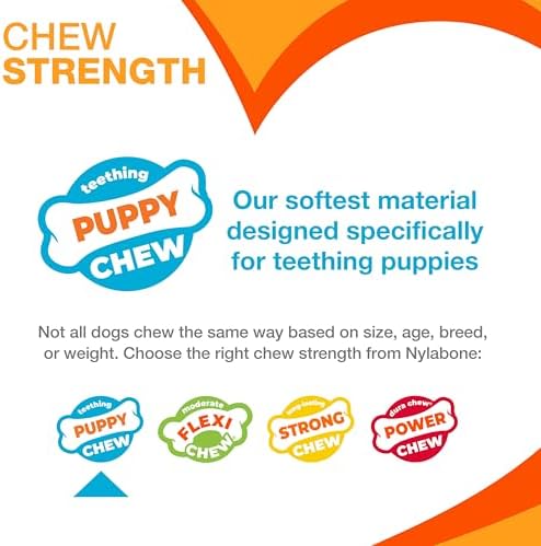 Nylabone Puppy Chew Knuckle Bone & Pop-In Treat Toy for Puppies, X-Small