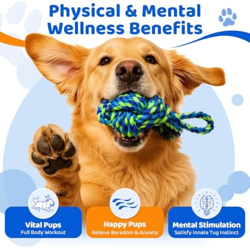 Tether Tug Outdoor Dog Toy Spring Pole, 3 Ropes for Tug of War