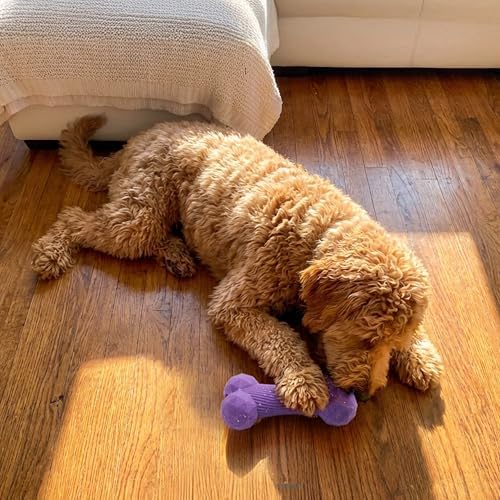 Flex-Force Bone Dog Toy for Fetch & Chew, Unpredictable Bounce, Floats in Water, Vanilla-Roast Scent for Sensory Play, Tough Chewers, Medium & Large Breeds (25-100+ lbs), 6.5"