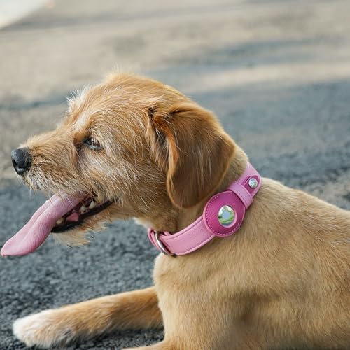 Blueberry Pet Microfiber Leather AirTag Dog Collar
