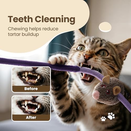 Cat Chew Ropes with Catnip Mouse, 3Pcs Cat Chew Toys for Large Cats Enrichment, 3-in-1 Catnip Toys Mouse & Strong Braided Ropes & Gall Fruits, Cats Teething Toys