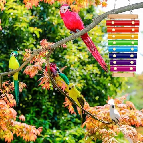 Bird Xylophone with Mirror & Bell Accessories - Musical Training Toy for Conure, Budgie, Cockatiel, Cockatoo, Parakeet, Finch (Bird Xylophone with Mirror)