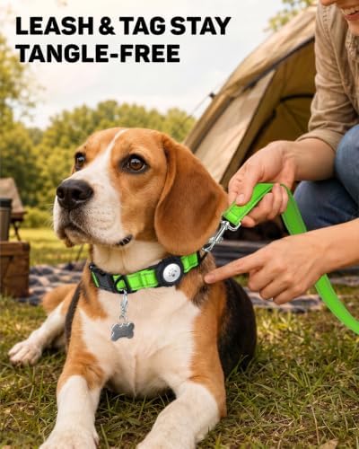 Padded Dog Collar with Waterproof Holder Compatible with Airtag