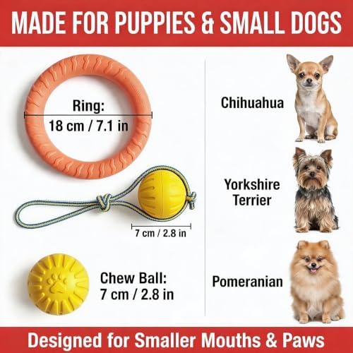 3-Piece Puppy Toys, EVA Chew Toy Set for Small Dogs