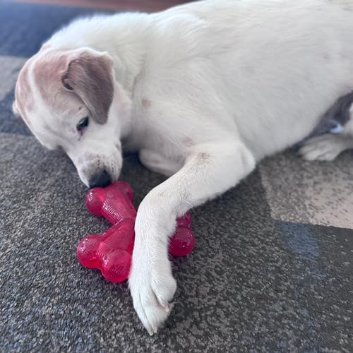 SPOT Play Strong Trident Bone - Durable TPR Long Lasting Dog Chew for Aggressive Chewers, Hole for Treats, Virtually Indestructible Toy for Large Dogs & Puppies up to 90lbs - 6 inch