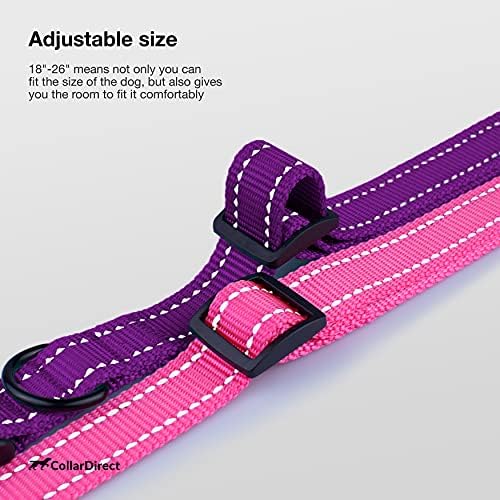Reflective Dog Collar, Quick-Release Buckle (Purple, 18-26 Inch)