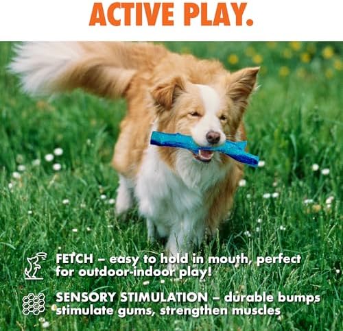 Max Fusion with Nike Grind, Arlee Twiggy Dog Toy, Chew Toy for Play, Fetch, Tug, XL