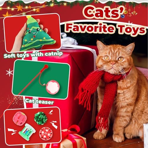 Shappy 5 Sets 55 Pcs Christmas Cat Stocking Toys with Cat Sticks Shaped Santa, Xmas Tree, Yarn Balls, Toy Mouse, Xmas Stocking Pet Set, Interactive Pet Gifts