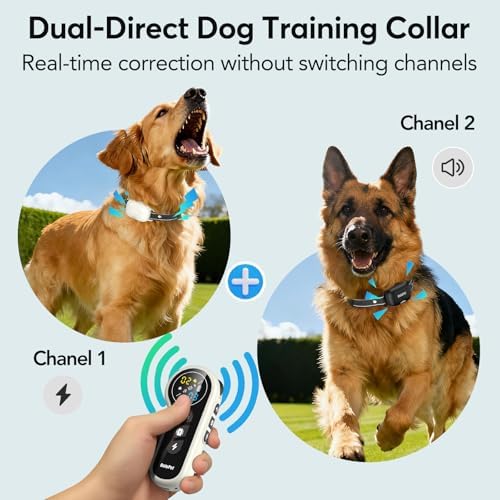 Shock Collar for 2 Dogs with Remote- 4500FT Dual-Direct Training Collars