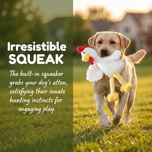 EMMA COLE Squeaky Plush Dog Toy with Soft Durable Fabric for Small, Medium and Large Pets Interactive Toy for Indoor Play, Supports Active Biting and Play (Chicken)
