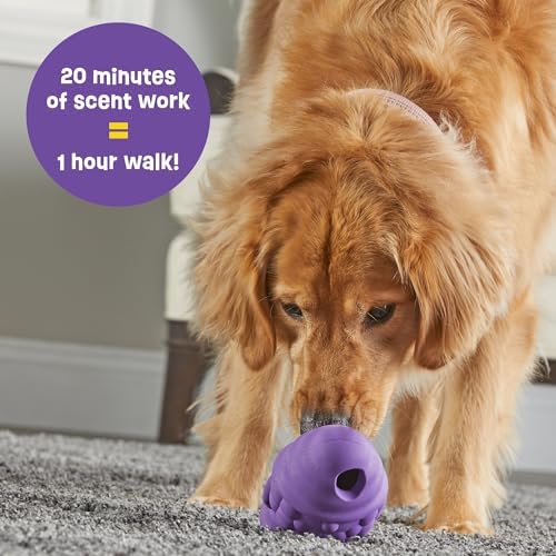 Brightkins Tough & Tumble Treat Dispenser Large Gnome - BPA Free Enrichment Treat Dispensing Dog Toy for Aggressive Play (Pack of 2)