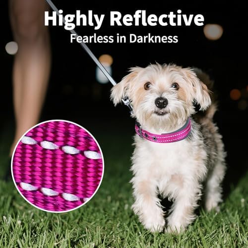 Segarty Reflective Dog Collar for Small Dogs, Adjustable Wide Soft Comfortable Breathable Neoprene Padded Nylon Collar with Heavy Duty Metal Buckle for Pet Puppy Small Breeds (S, Hot Pink)