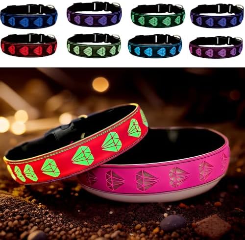 Light Up Glow Dog Collar with AirTag Holder, 15 Color Modes,