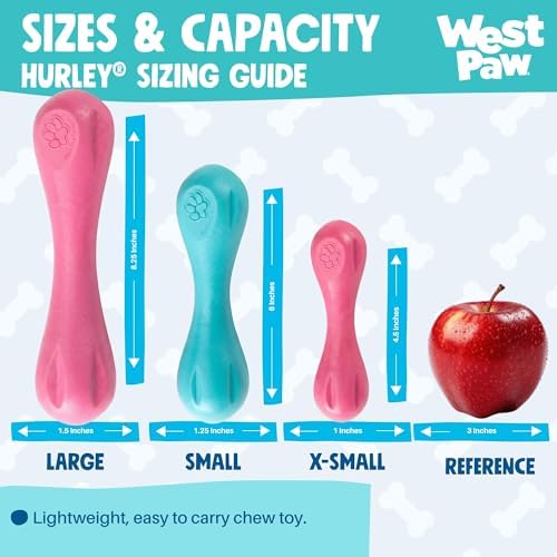 WEST PAW Zogoflex Hurley Dog Bone Chew Toy – Floatable Pet Toys for Aggressive Chewers, Catch, Fetch – Bright-Colored Bones for Dogs – Recyclable, Dishwasher-Safe, Non-Toxic, Large, Teal (Pack of 2)
