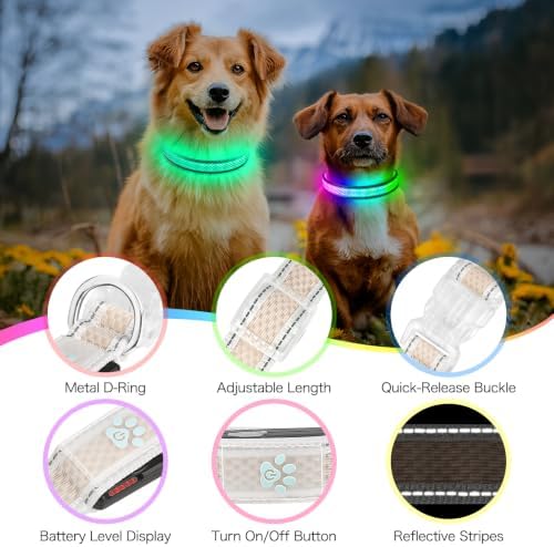 Flashseen Light up Collars for Dogs at Night, 9-Mode Glow, USB Rechargeable | Color Changing LED Lighted Dog Collar, Super Bright Adjustable Glow Collar for Night Walking (Soft Pink, Small)