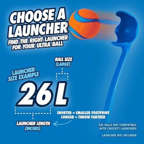 Chuckit! Ultra Ball Dog Fetch Toy, Large 3in, for 60-100lbs Dogs, Floats