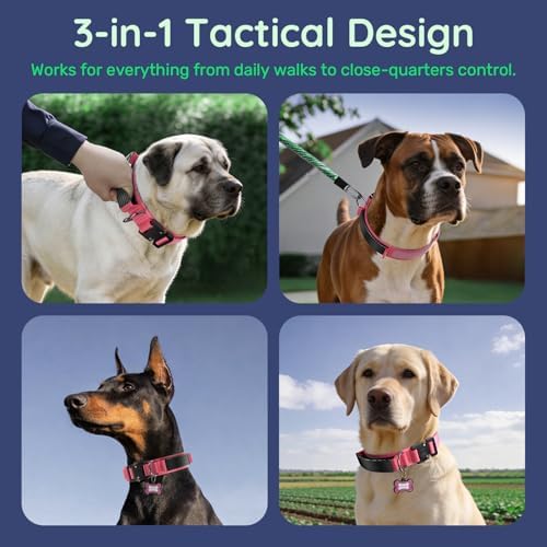 Premium Tactical Dog Collar - Adjustable Military Heavy Duty Dog Collar for Medium Large Dogs - Durable Metal Buckle Dog Collar with Leather Control Handle and Soft Comfortable Padding