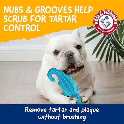Arm & Hammer Nubbies Gator Dog Dental Chew Toy, Mint Flavor