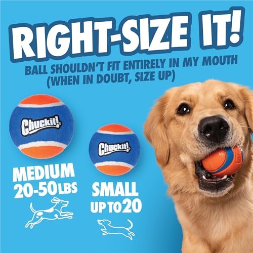 Chuckit! Cannon 16S Dog Ball Launcher, 16 Inch Size, Includes 4 Balls Total