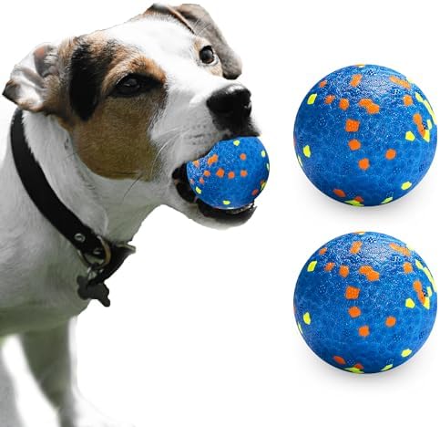 Dog Balls, Indestructible Dog Toy Ball for Aggressive Chewers, Durable High Elasticity Interactive Ball for Training Dog Catch and Fetch, Large Medium Small Dog and Puppies(Blue, 2.5in, 2pcs)