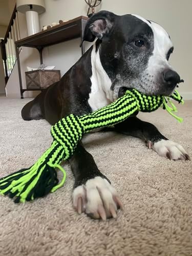 Jolly Pets Knot-N-Chew Rope Dog Toy, 3 Knot Squeaker, Large/X-Large