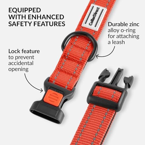 Reflective Dog Collar, Quick-Release Buckle (Orange, 12-16 Inch)