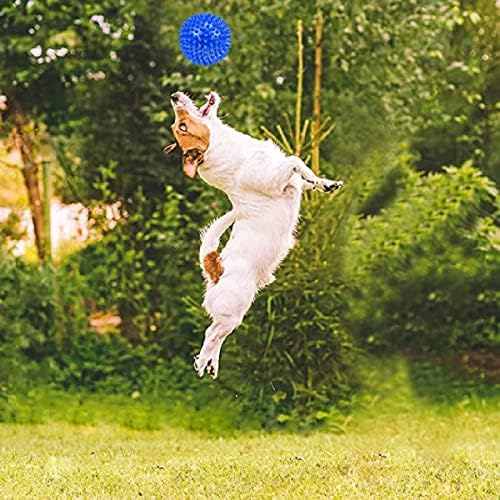 Dog Chew Toys,Dog Toys 5 Pack for Fun and Teeth Cleaning Dog Toys Pack