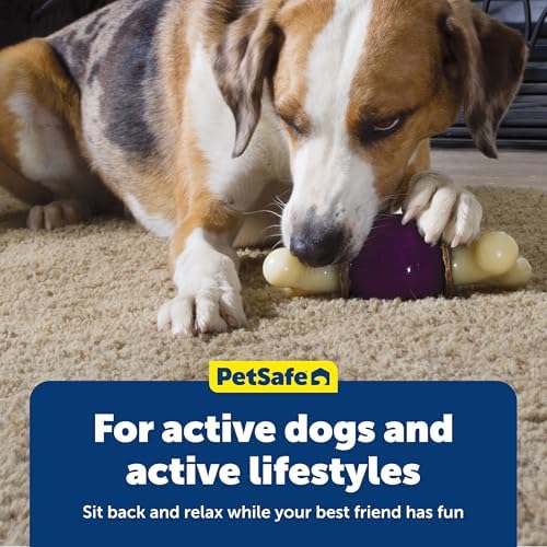 PetSafe Busy Buddy Bouncy Bone Treat Holding Dog Chew Toy, Small