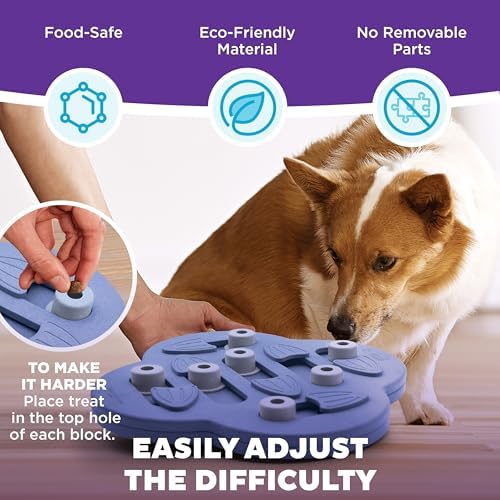 Outward Hound Nina Ottosson Dog Hide N' Slide Dog Toy Treat Puzzle, 11.6" | Level 2 Intermediate, 14 Hidden Treat Compartments, Slide & Swivel, Kibble or Treats, Easy Clean, Enrichment, Dogs & Puppies