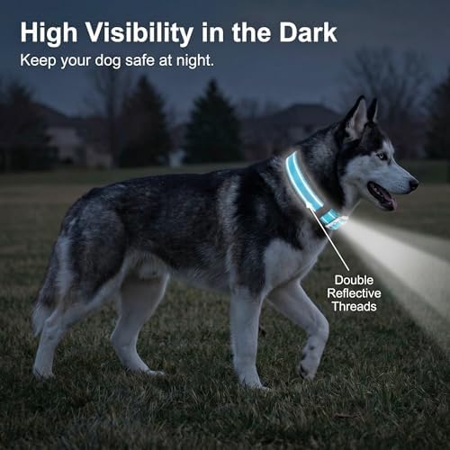 Reflective Dog Collar for Large Dogs Wide Padding 6 Holes Adjusta