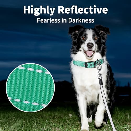 Segarty Reflective Dog Collar for Large Dogs, Adjustable Wide Soft Comfortable Breathable Neoprene Padded Nylon Collar with Heavy Duty Metal Buckle for Large Medium Breeds (L, Green)
