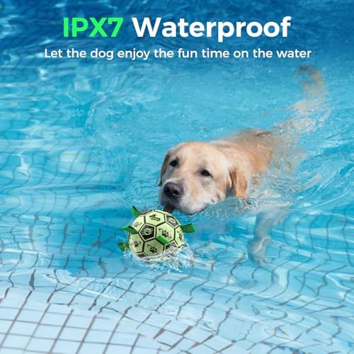 QDAN Glow in the Dark Dog Ball, Light Up Dog Toys, Luminous Glow Soccer Ball for Dogs, Outdoor Dog Toys, Doggy Water Toy, Puppy Birthday Gifts for Small Medium (6 Inch)