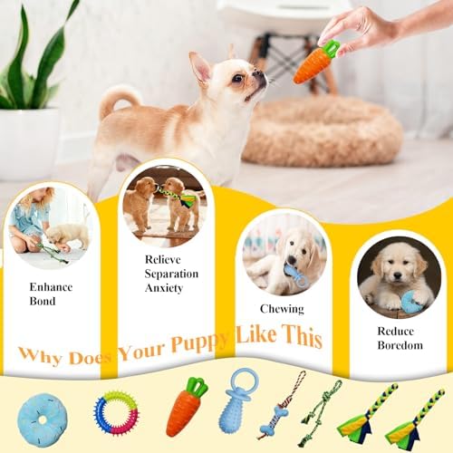 Puppy Play Gym with 8 Hanging Toys for Teething & Chewing, Small Dogs
