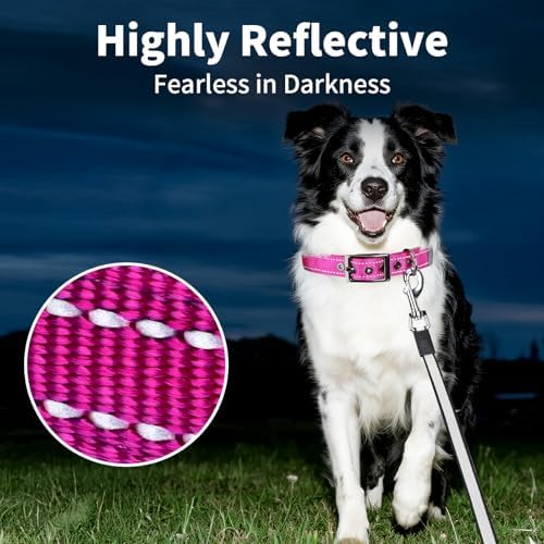 Segarty Reflective Large Dog Collar Girl Neck Size 18.9-23in, Adjustable Wide Soft Comfortable Breathable Neoprene Padded Nylon with Heavy Duty Metal Buckle for Large Medium Breeds (L, Hot Pink)
