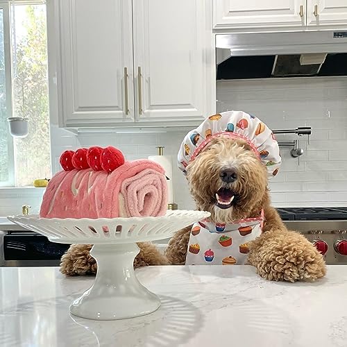 CHEWFFON Birthday Cake Snuffle Dog Toy, Enrichment Treat Hiding Puzzle