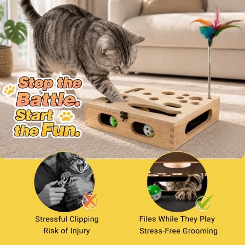 Cat Scratch Puzzle Enrichment Box, Interactive Cat Toy for 3 Balls & 2 Wand
