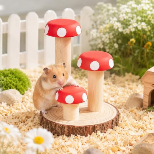 Hamster Climbing Toy Wooden for Chew, Enrichment Cage Accessory