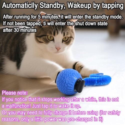 GoldenLife Interactive Cat Toys for Indoor Cats, Hamster Ball with Speedy Tail 2.0, Safe Silicone，3 Modes (Speed/Light) & Type-C Charging, Durable Moving Dog Toy for Indoor Cats/Dogs (Orange)