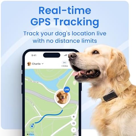 Tractive Smart Dog GPS Tracker with 6 Month Subscription | Live Pet Tracker with Virtual Fence | Vital Signs Monitoring of Heart & Respiratory Rate | Bark Monitoring | Dog Collar Attachment (Black)