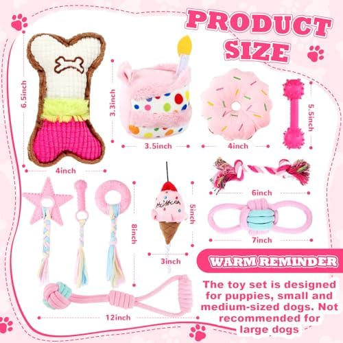 RoundFunny 11 Pcs Dog Birthday Toy Gift for Dog Birthday Cake Puppy Girl Boy Squeak Toys Interactive Puppy Gift with Box for Small Medium Size(Classic,Pink)
