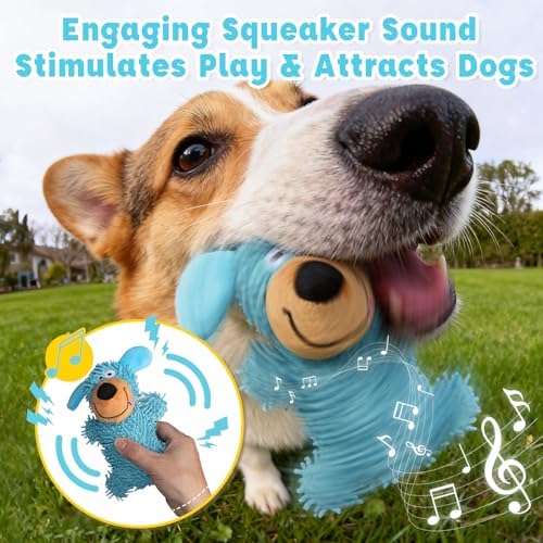 2 Pack Squeaky Dog Chew Toys for Small Animals Dogs Puppy Teething